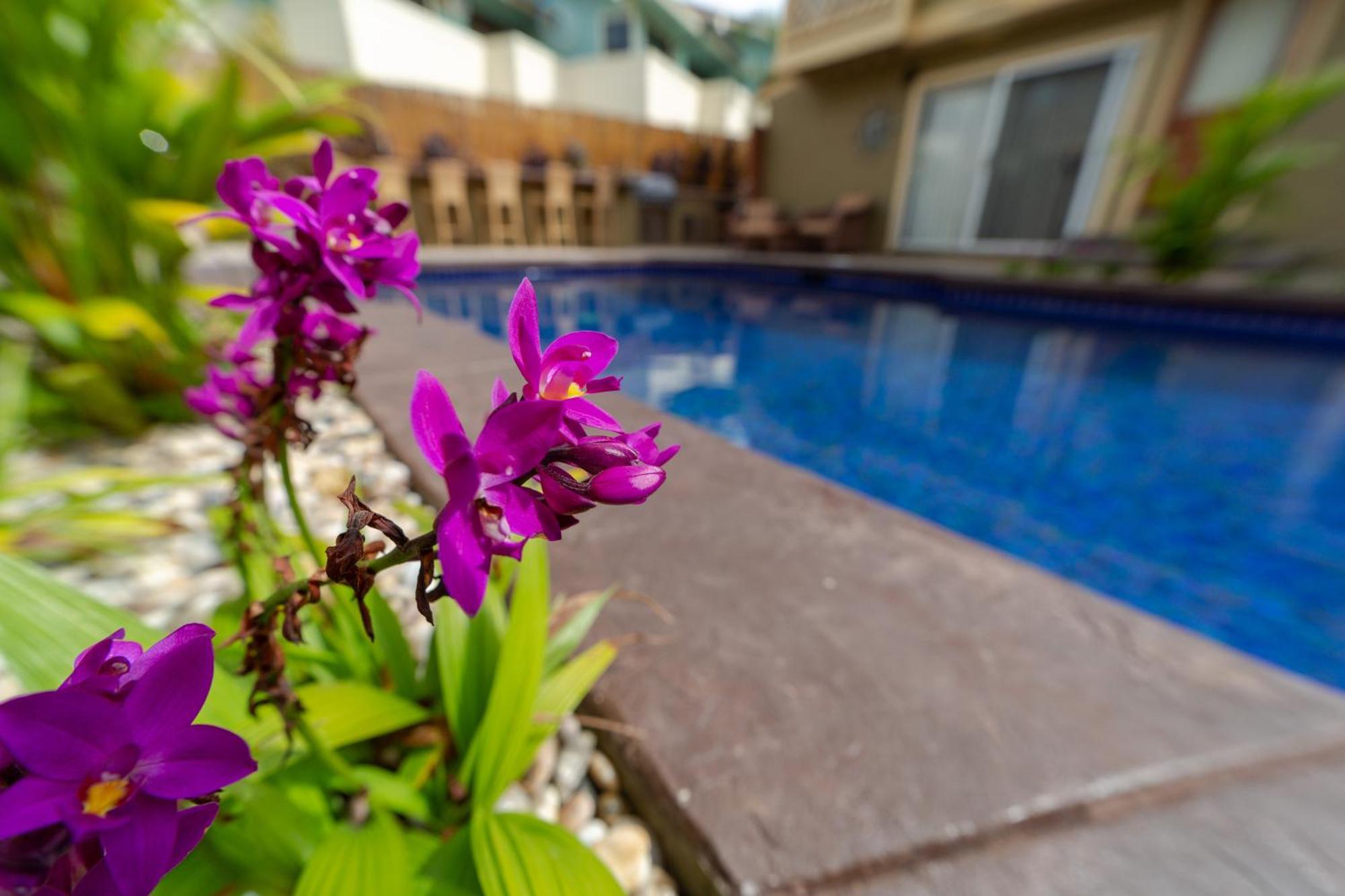 Plumeria Suite, 2-Bedrooms, Sleeps 6, Pool & Bbq, Pre-Renovation Summer Sale Кихей Экстерьер фото